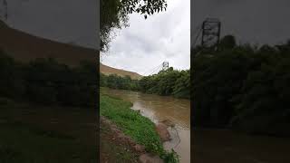 As margens do Rio Paraíba em Guararema. #shorts