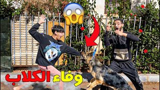 شاهد ردة فعل كلبتي عندما هاجمني شخص 😱!! "مقلب في كلبتي"