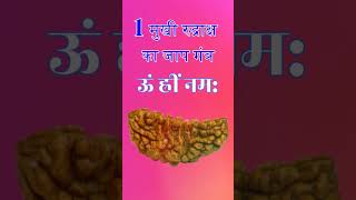 ek mukhi rudrkas । एक मुखी रुद्राक्ष | # rudrkash #rudrkashmantra #1mukhi #rudraksha