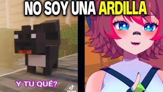 la ardilla se enojo xd