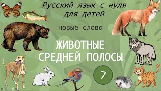 Лексика 7. Животные средней полосы. Русский язык детей. Russian for kids