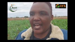 Importance of farm mechanization to small scale holder farmers in production