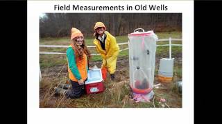 6 Estimation of CO2 Leakage along Old Wells using Numerical Models and Field Measurements   Celia