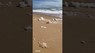 Sea foam at the beach, #seafoam #beach #algarve