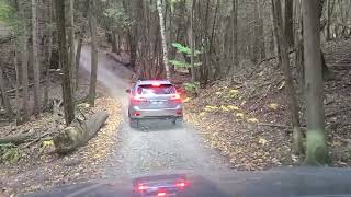 Ford Ranger Follows Lexus RX350 Off-Road - Mono Trails Fall Colour Drive - Part 1