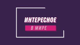 Художник Макс Зорн: скотч вместо красок...