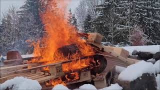 Canadian Quarantine with Border Collie | Winter snowfall