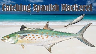 Bridge Fishing - How To Catch Spanish Mackerel