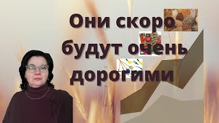 Продукты и товары, которые могут оказаться дороже золота.