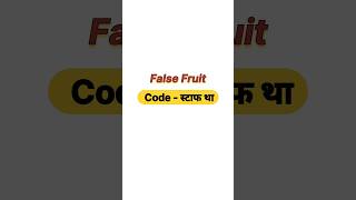 What is false fruit ??