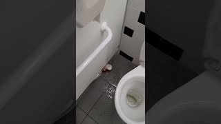 Prank dans des toilettes publics