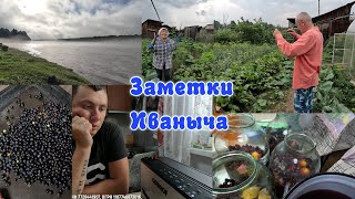 Лето в деревне: ягодный выпуск, разлился Иркут, наш новый помощник