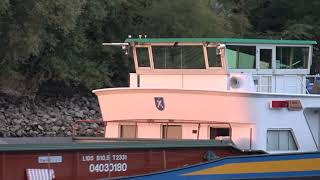 Frachtschiff Wolfgang Krieger - Shipspotting Rhein Deutschland