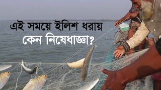 বাংলাদেশে ইলিশ ধরায় নিষেধাজ্ঞা, সুবিধা নিচ্ছে ভারতের জেলেরা II Hilsha fish