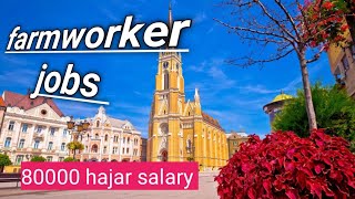 FARM WORKERS JOBS IN SERBIA #helperjobs #serbia #farmworkers #farmwork #serbiatravel #2024jobs