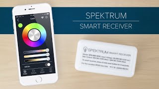 Spektrum Smart Receiver