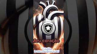 Meu coração Botafoguense #futebol #corinthians #botafogo #viralvideo #neymar #botafogoagora