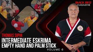 Intermediate Eskrima with Thomas Sipin (Vol 6): Empty Hand and Palm Stick | Black Belt Magazine