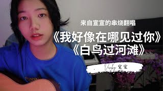 歌曲串烧，都是我超喜欢的歌，浅听一下吧——我好想在哪见过白鸟过河滩【Vicky宣宣】