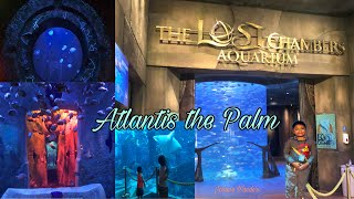 THE LOST CHAMBERS AQUARIUM | BIRTHDAY STAYCATION IN ATLANTIS THE PALM PART 2