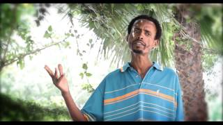 Suraj Ahmed - Osut Halabira (ኦሱት ሀላቢራ) Ethiopian Music Video 2015