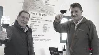 Juan Martín Vidiri (Bodega Humberto Canale) - PASION POR EL VINO (Programa 41, Bloque 02, Temp 8)