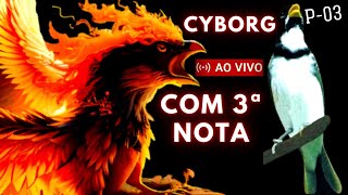 Canto Coleiro: Cyborg Canto Classico Especial Para Estimulo e Aprendizado COM 3ª NOTA