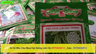 hạt giống mới về ngày 05/01 ai có nhu cầu liên hệ 0978426812