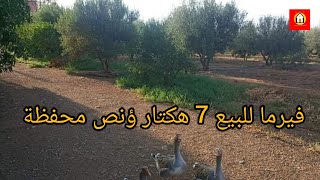 فيرما للبيع فيها 7 هكتار ؤنص محفظة تفاصيل أكثر داخل الفيديو