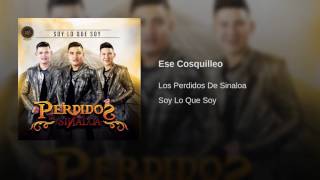 Ese Cosquilleo - Perdidos de Sinaloa