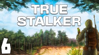 S.T.A.L.K.E.R. True Stalker #6. Свалка