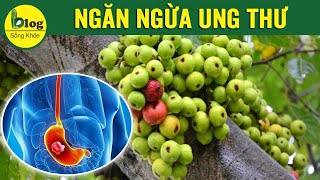 Điều kỳ diệu sau khi thường xuyên ăn quả sung