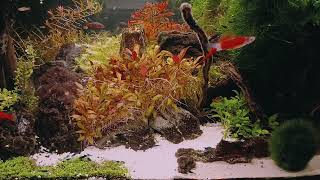 3 Hours Aquarium HD Like a Volcanic Eruption - with Watersounds (no Music) - NO LOOP!