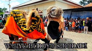 Barongan Kesurupan • Wahyu Budoyo Sidodadi •  Live Kecamatan ngampel - kendal terbaru 2023