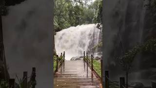 Ayatana, Coorg | Places to visit in Coorg | Private Waterfall #waterfall