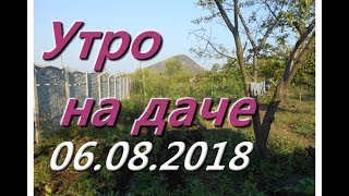 Утро на даче _ (06.08.2018)