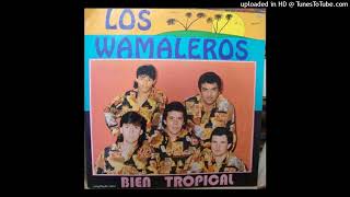 Los Wamaleros - Cielo