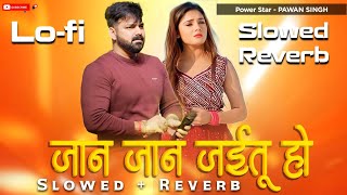 Jan jan jaitu ho pehchan jaitu ho Pawan Singh | Bhojpuri sad song | Slowed Reverb | New Song LofiMix