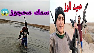 صيد الوز في العراق والعثور ع سمك السمتي