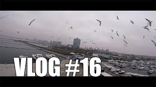 Martılar | VLOG #16