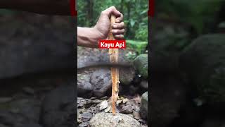 Kayu Api #bushcraftindonesia   #trending #alleybamboesjourney