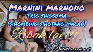 🔥Marnini marnono || cover Trio singsoma || cipt:Dakka hutagalung