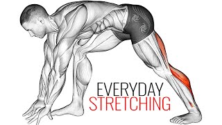 Stretching Exercises for Beginners At Home