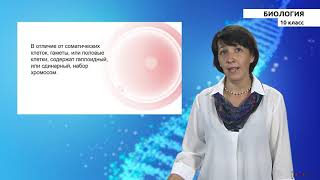 10 класс - РУ - Биология - №2 - Клетка- структурная и функциональная единица живого