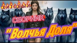 ЛУЧШИЙ  Альбом *Волчья Доля* СЛУШАЙ🎧 #ЗолотыеХиты