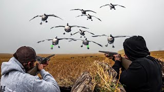 2 GUYS 8 GEESE DOWN IN 1 FLOCK! PLUS BANDS!