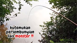 Kutemukan Persembunyian Lais Monster, Joran Melengkung 180 Derajat !!!