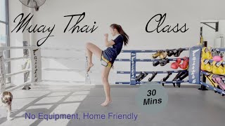 Muay Thai at Home - Full Class, Beginner Friendly, No equipment | 30 Mins with Spring Sia