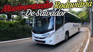 Foi Tanto Ônibus Na Saída Da Rodoviária De Salvador - 30/06/24