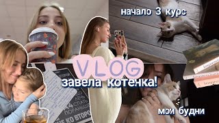 *vlog* СТАЛА МАМОЙ Котенка! 🐈 БУДНИ СТУДЕНТКИ: пары, работа официанткой, подарок бабушке